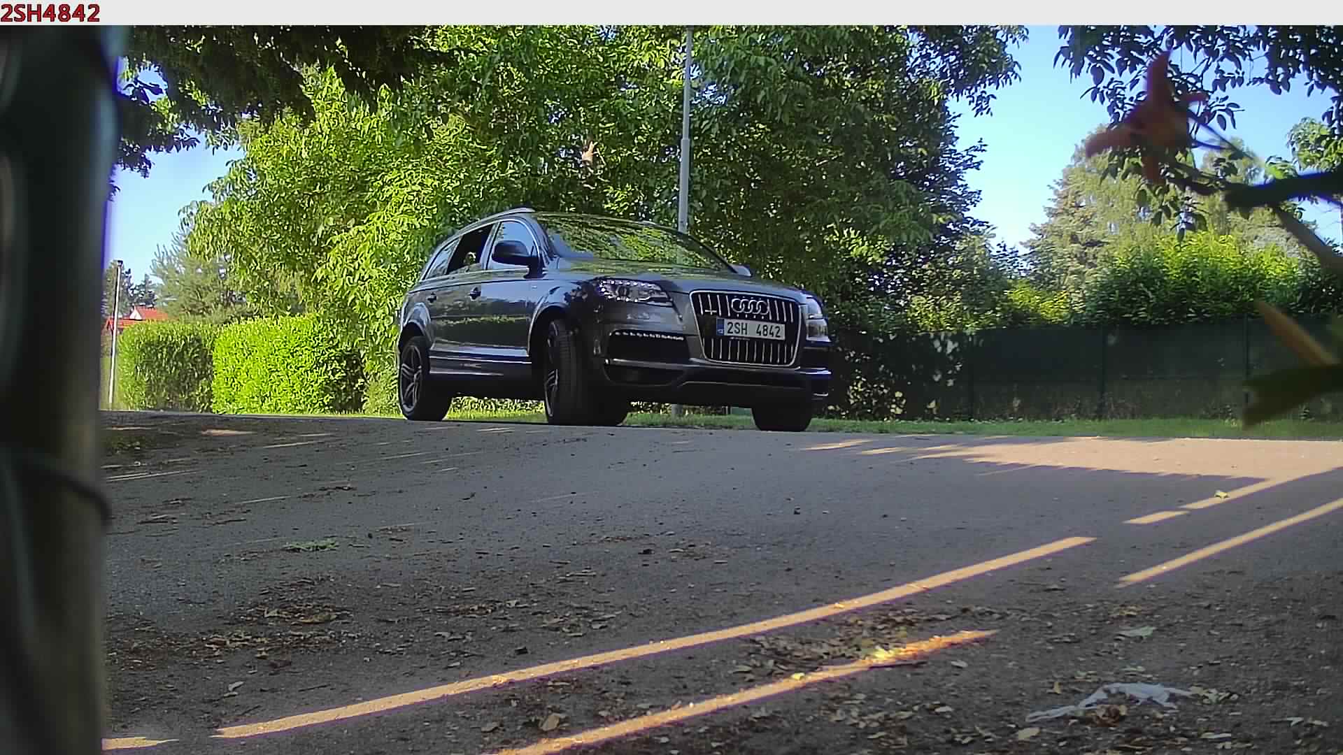 náhled