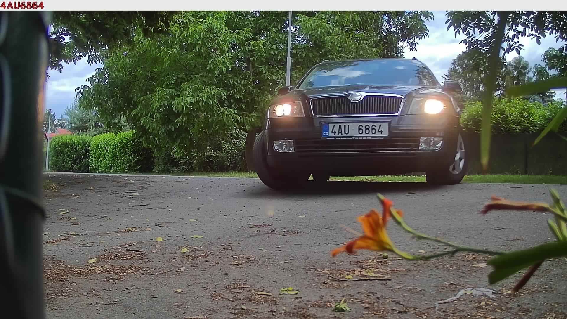 náhled