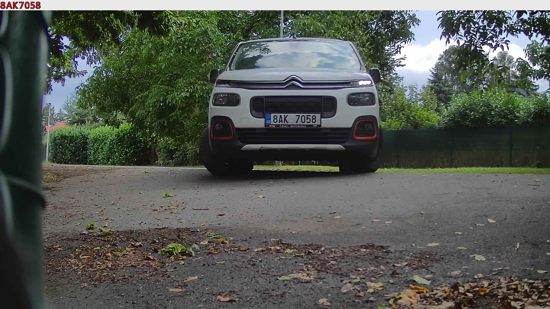náhled