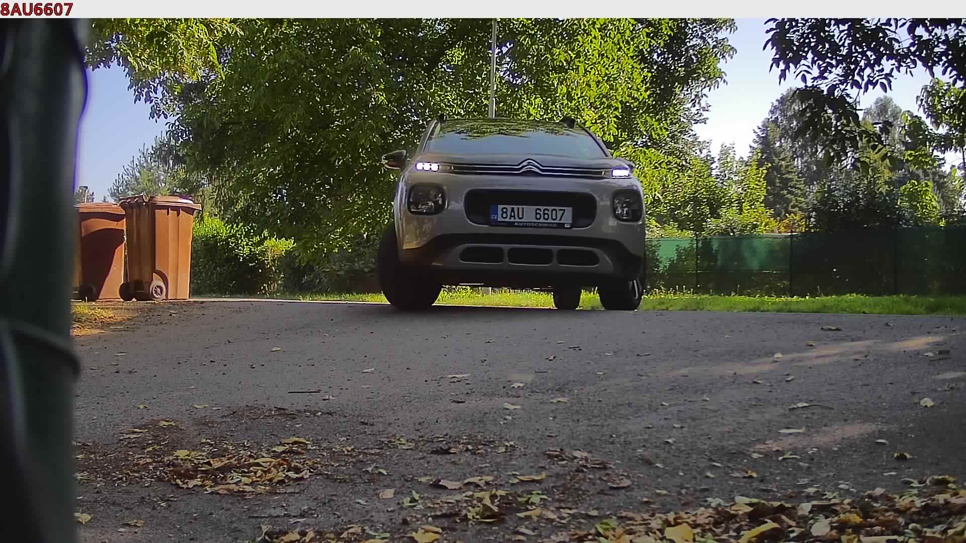 náhled