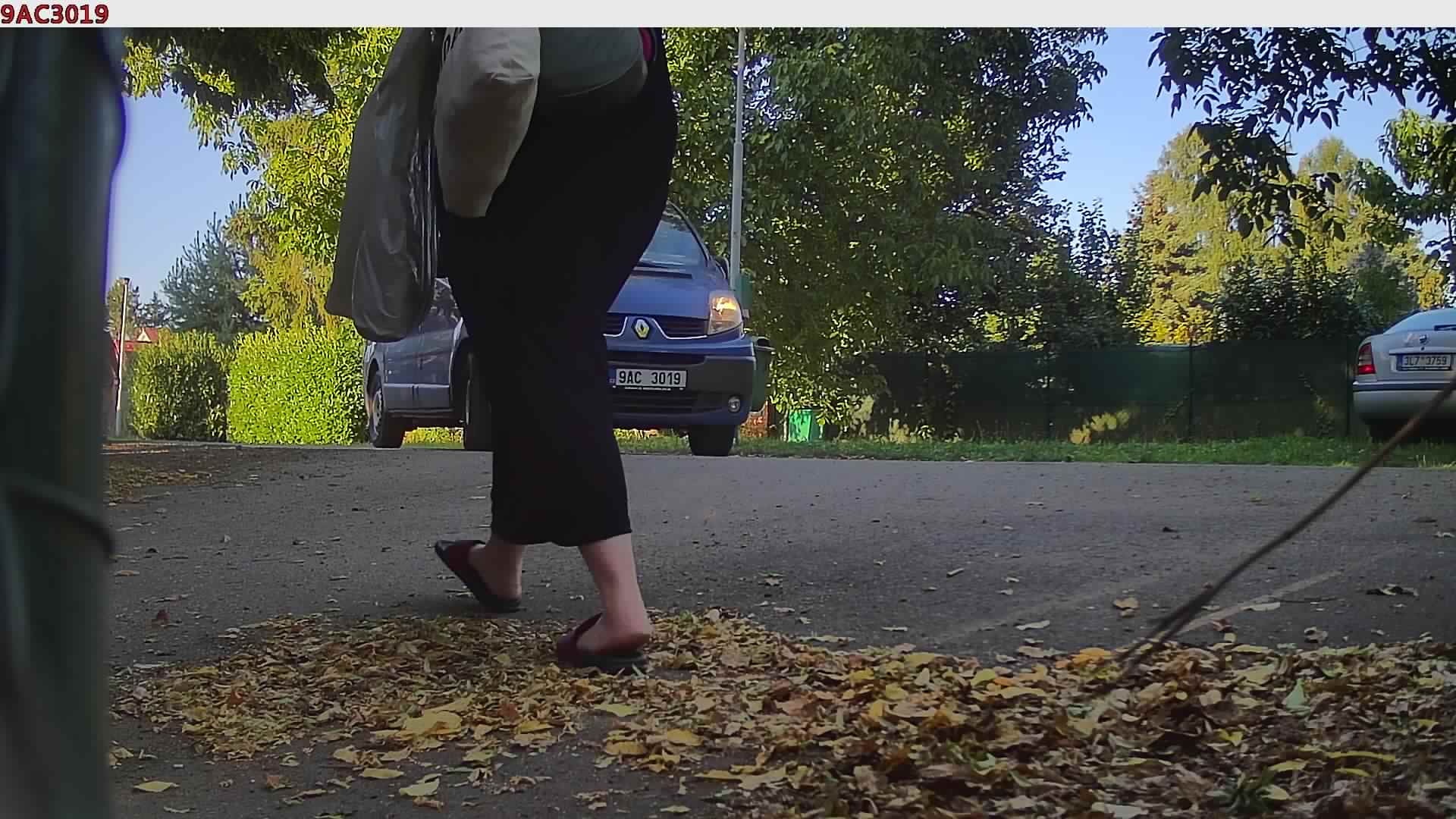 náhled