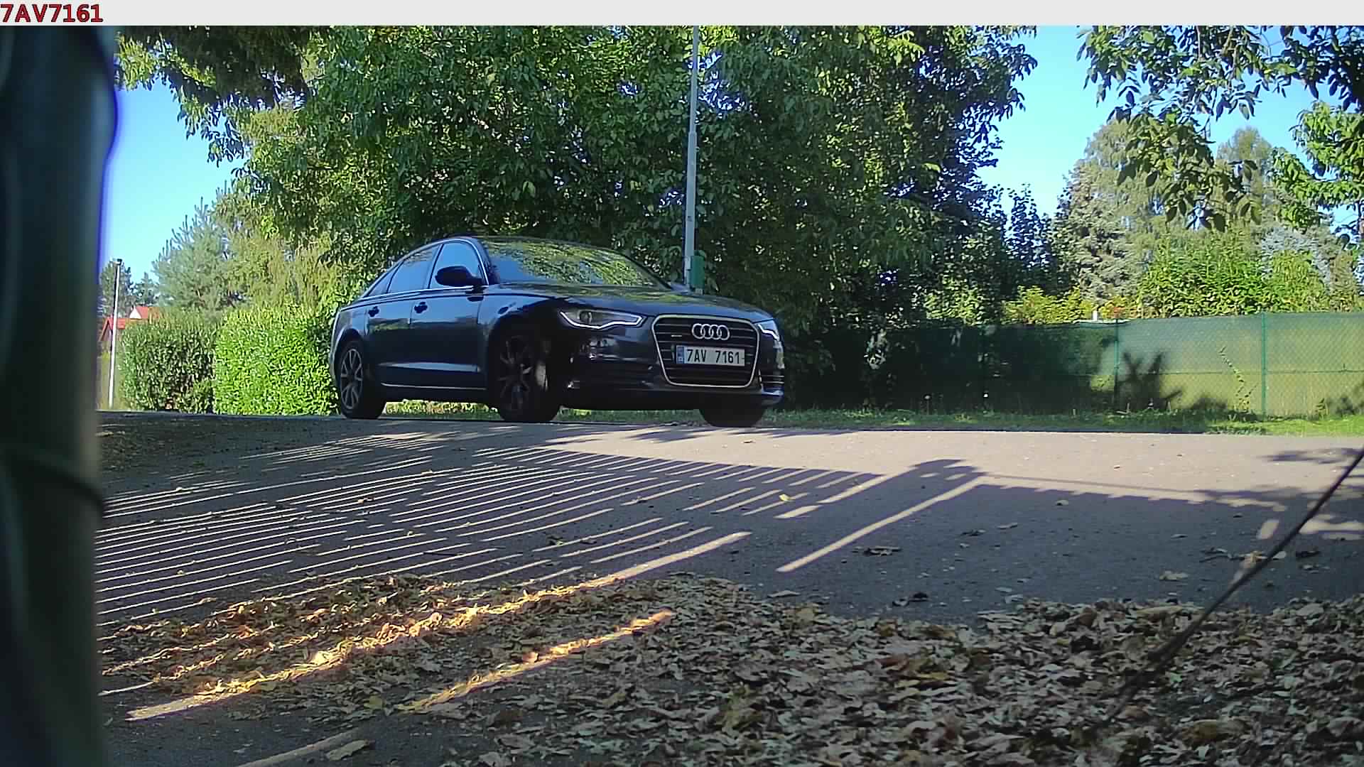 náhled
