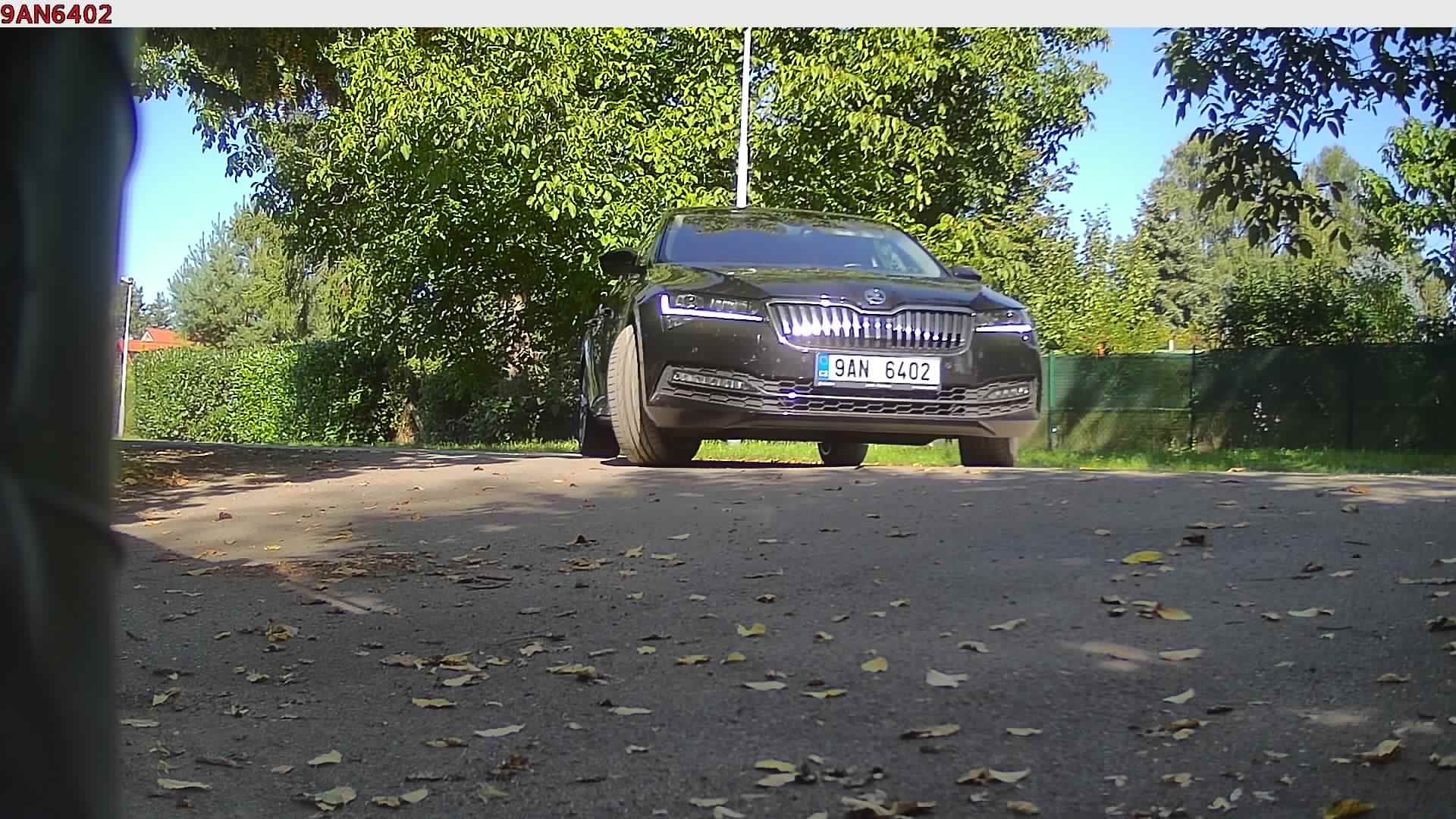 náhled
