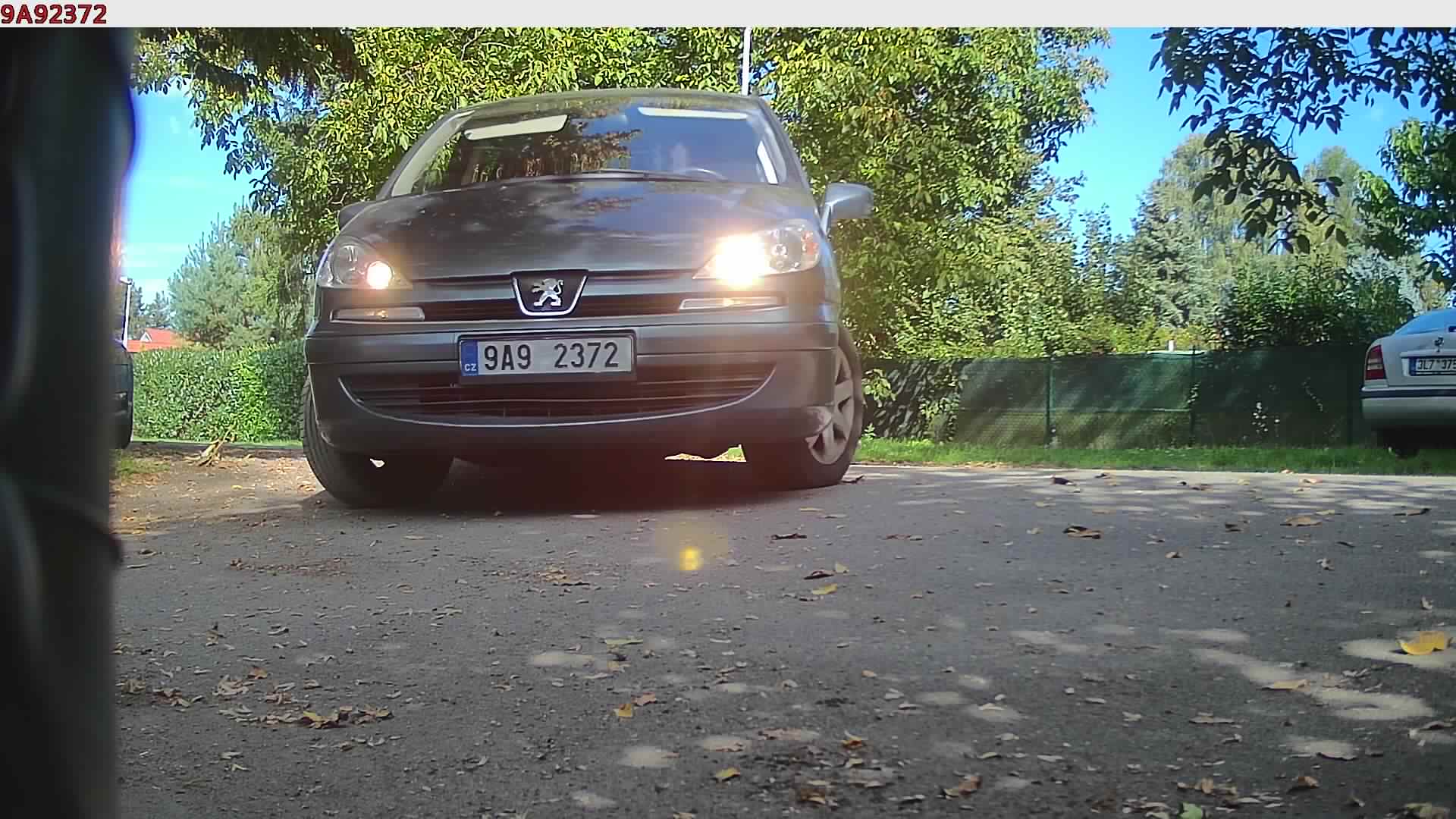náhled