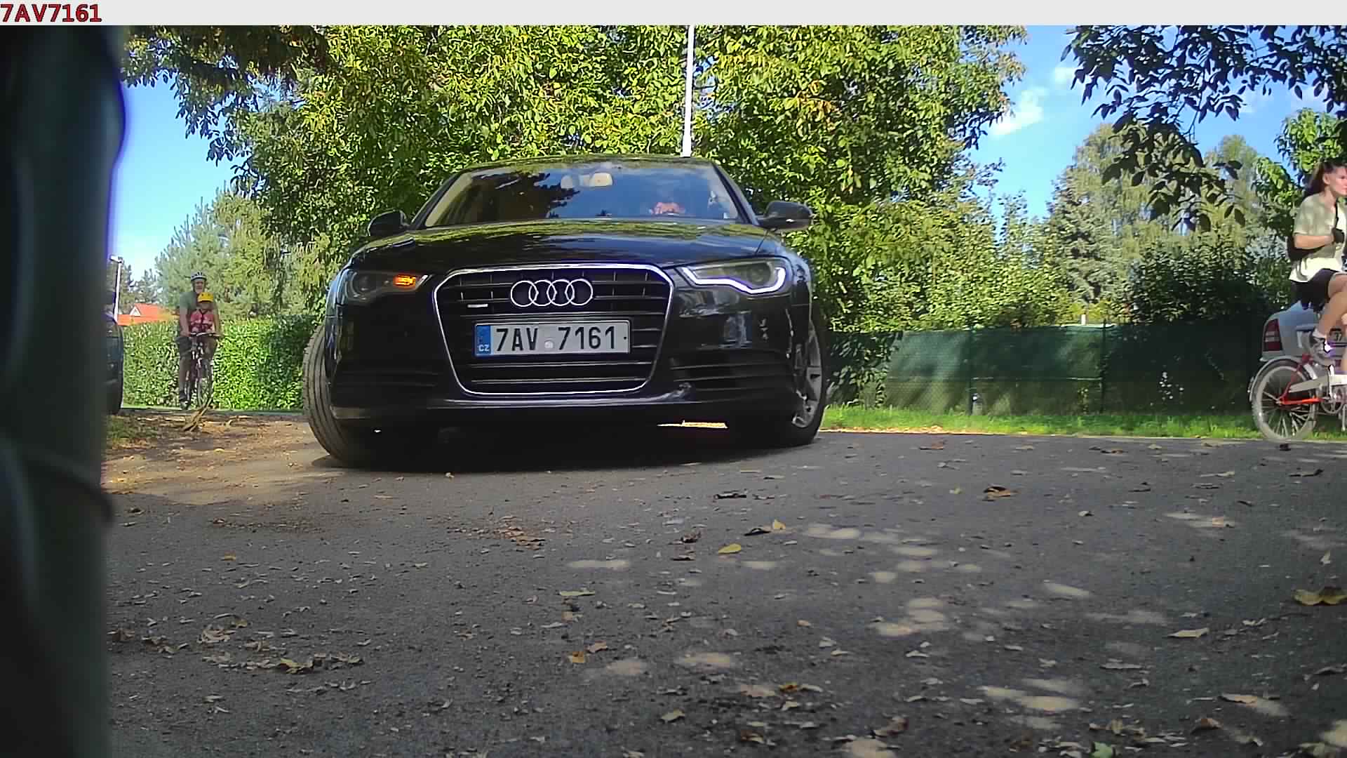 náhled