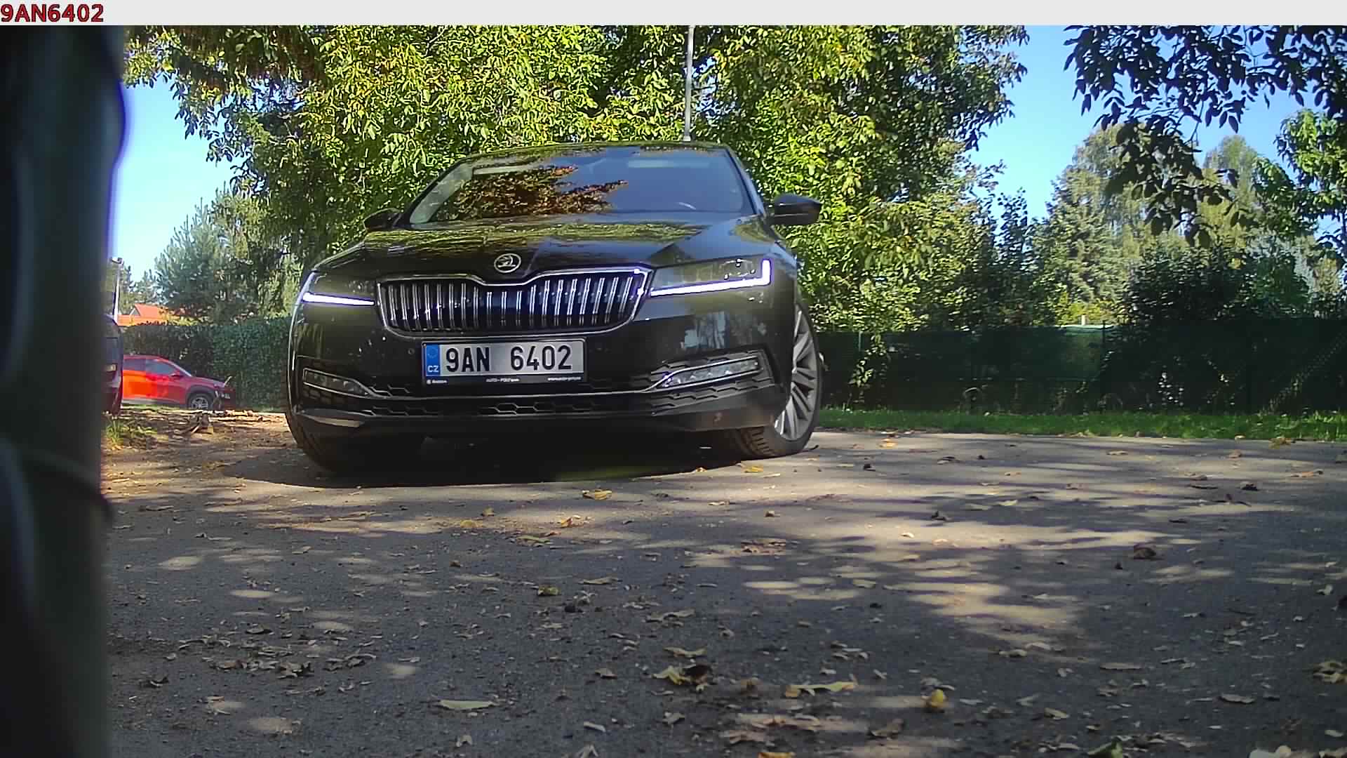 náhled