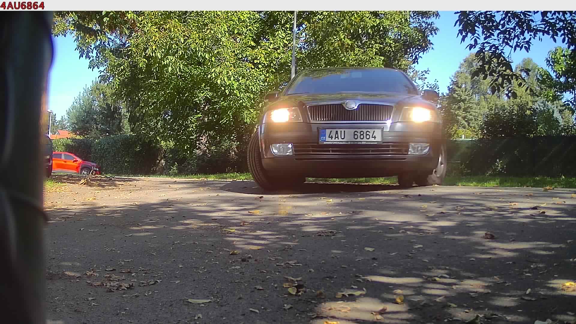 náhled