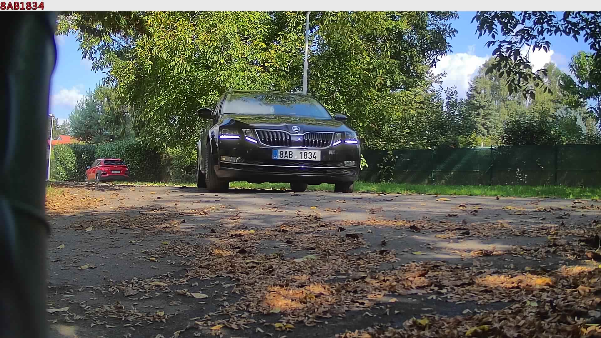 náhled