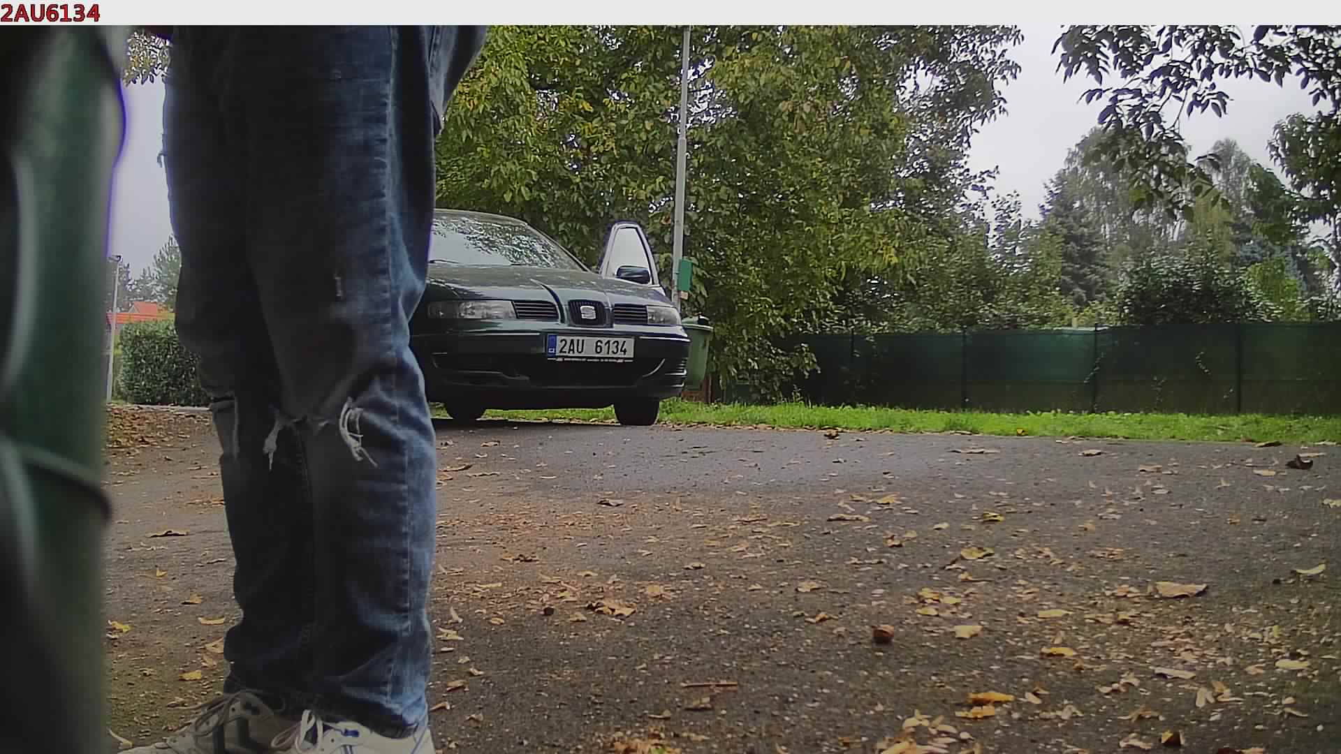 náhled
