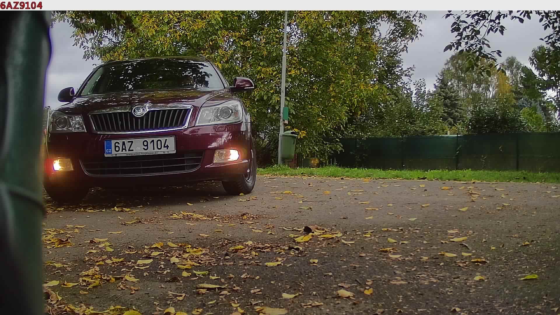náhled