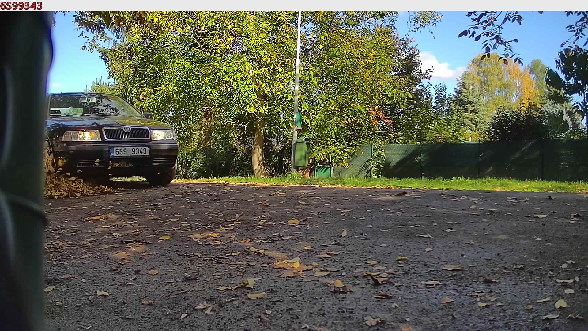 náhled