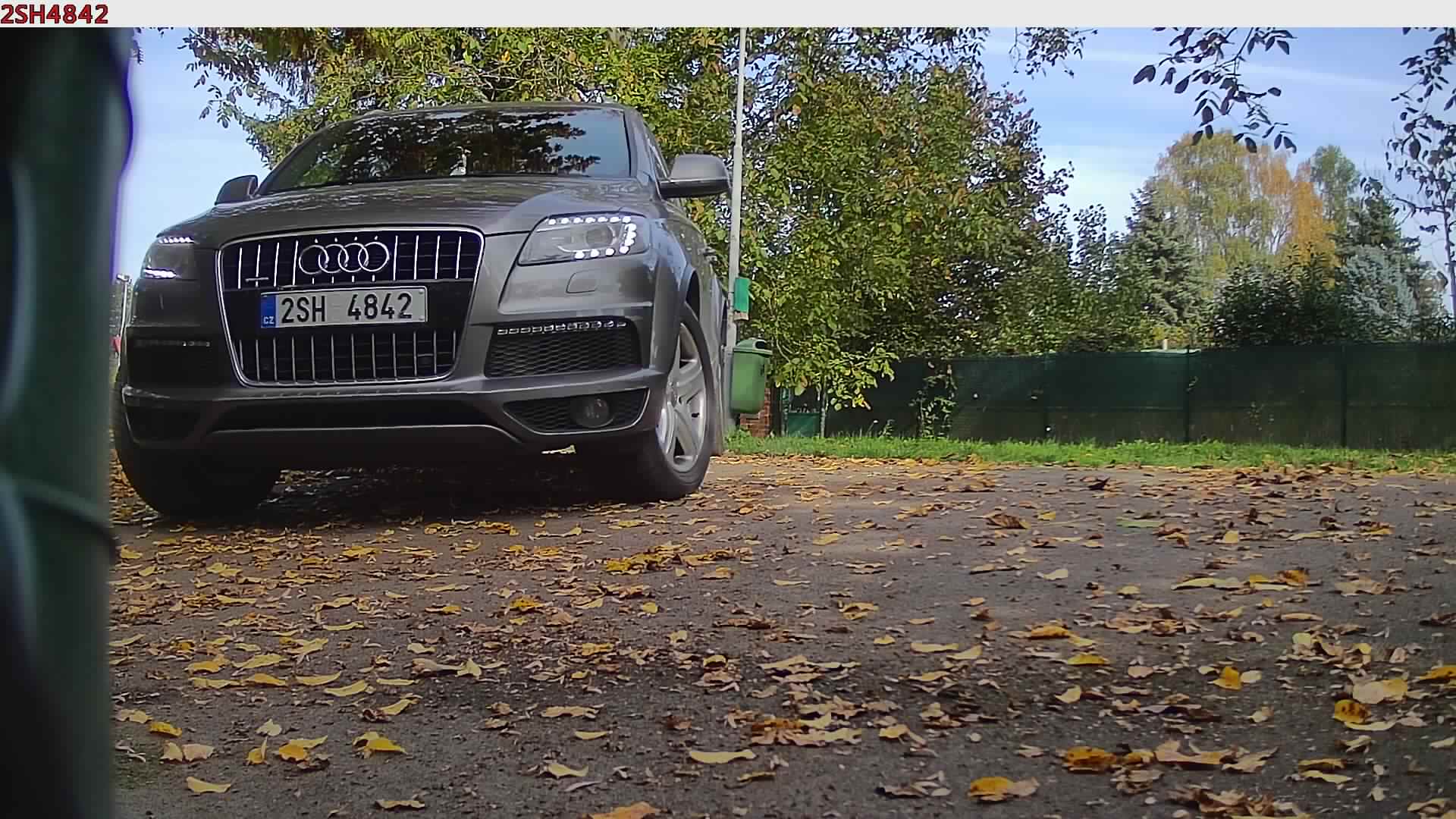 náhled