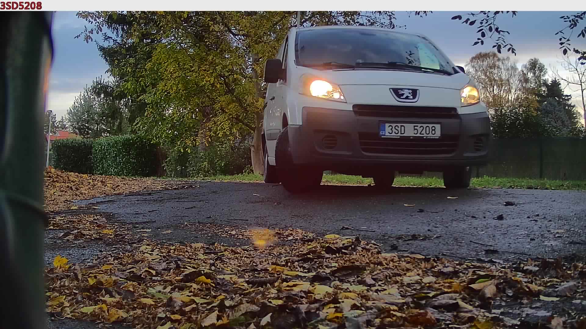 náhled