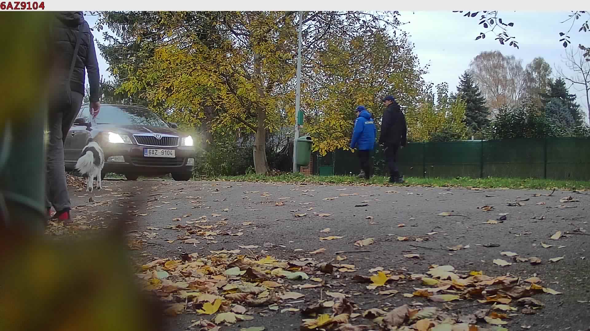 náhled