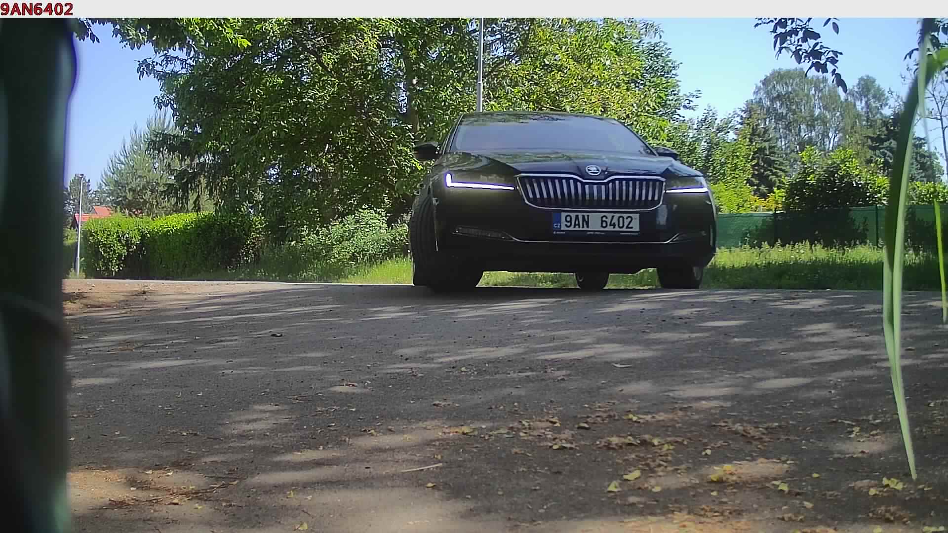 náhled