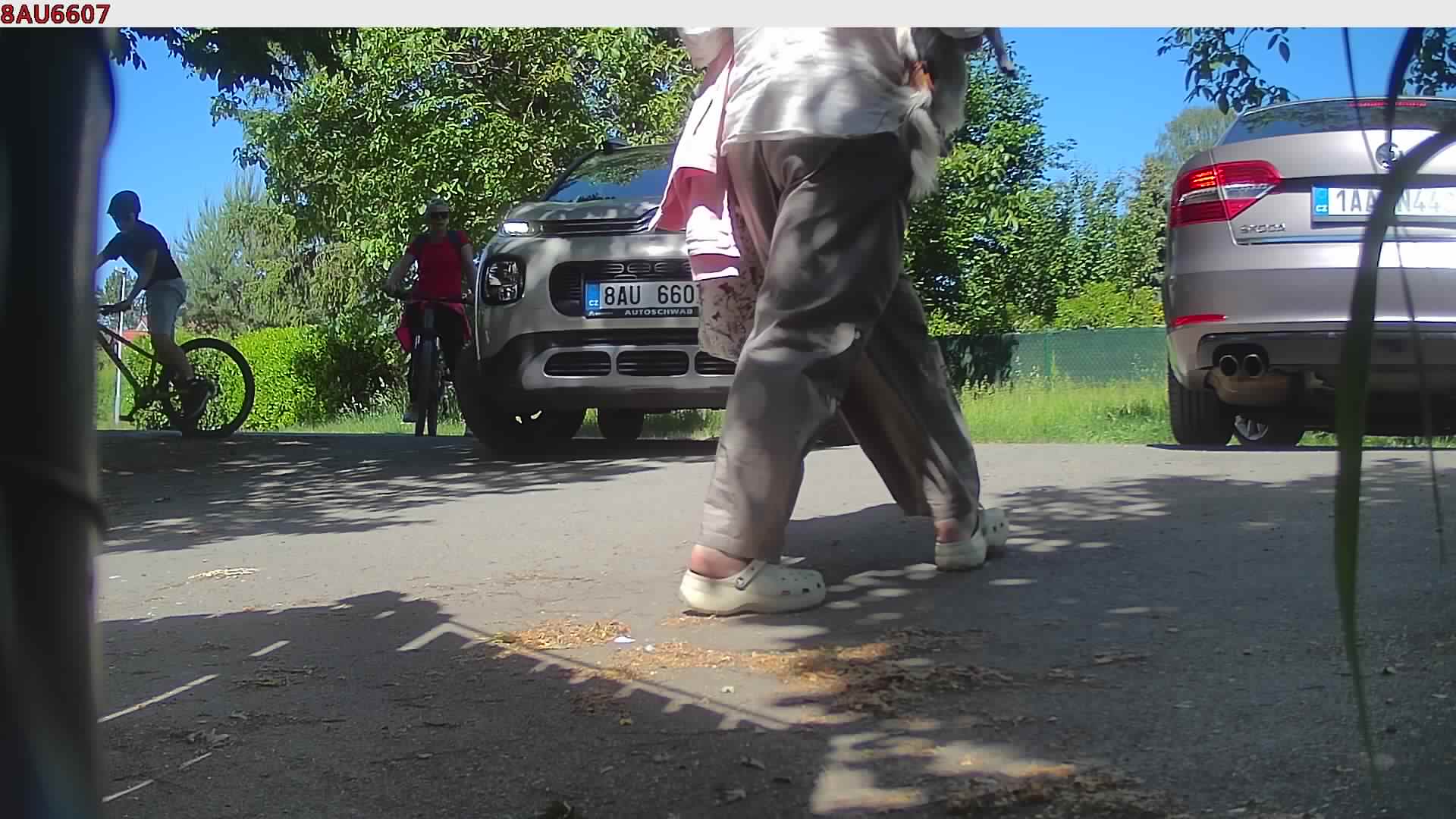 náhled