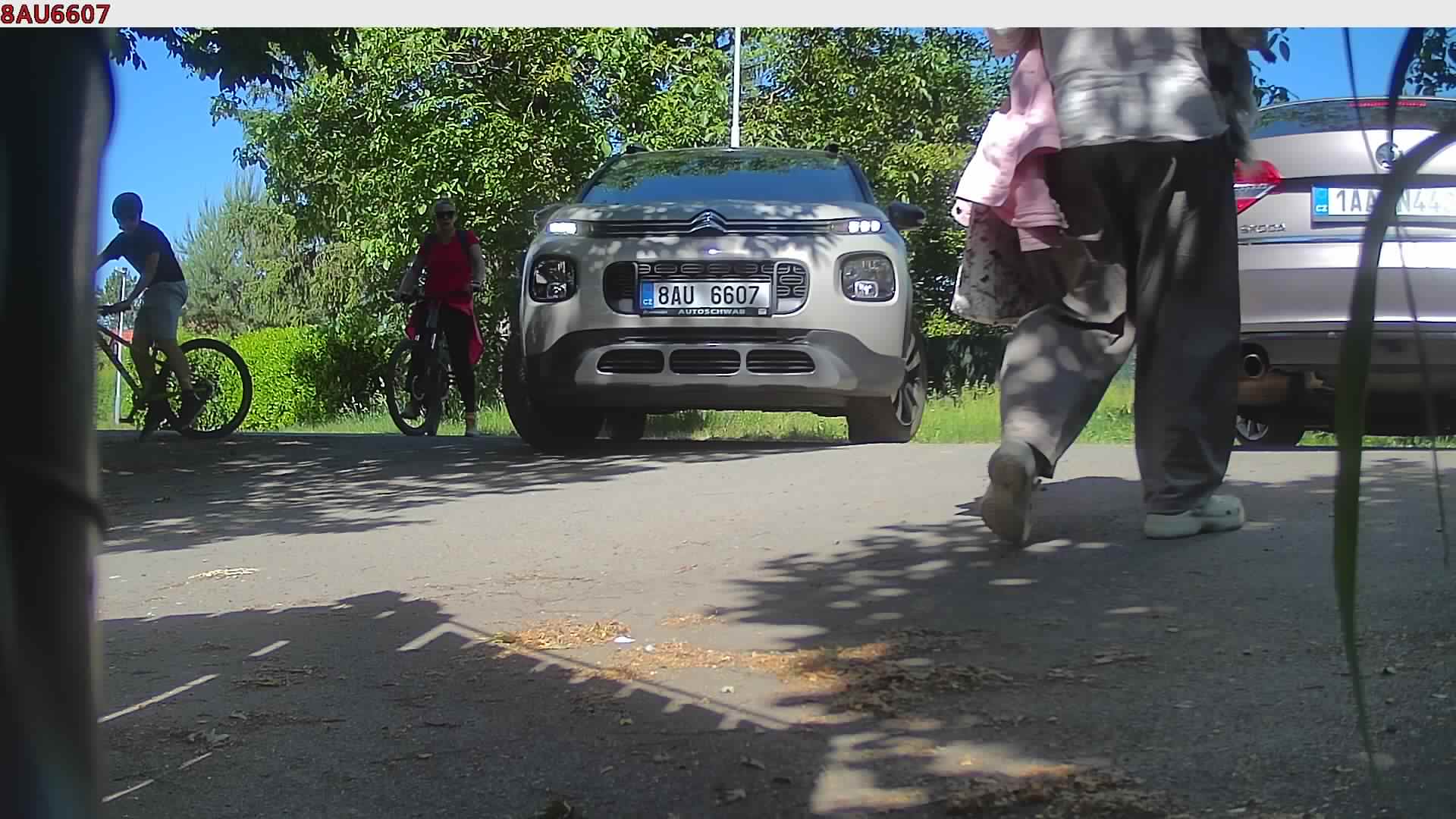 náhled