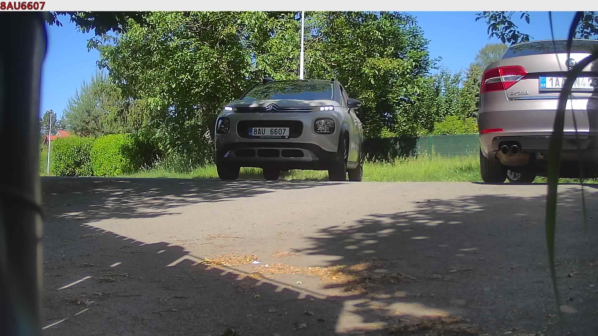 náhled