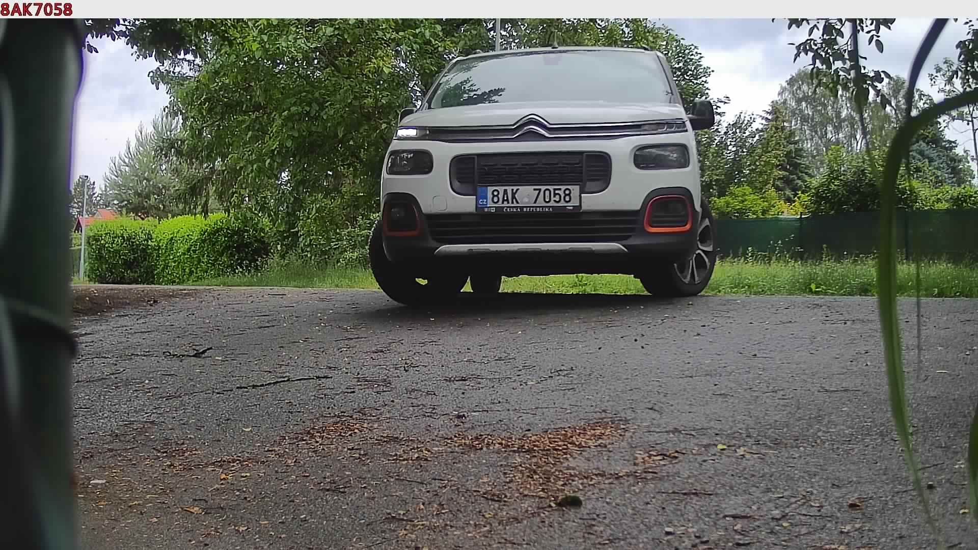 náhled